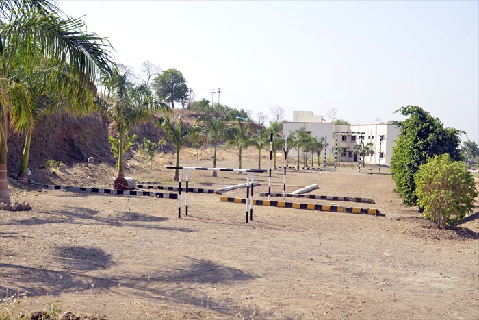 Plants: image 16 0f 21 thumb